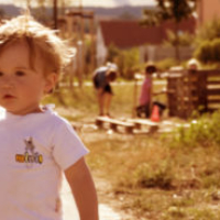 2734516833_78e96edda2_b